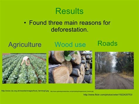 The Cause And Effects Of Deforestation Causes