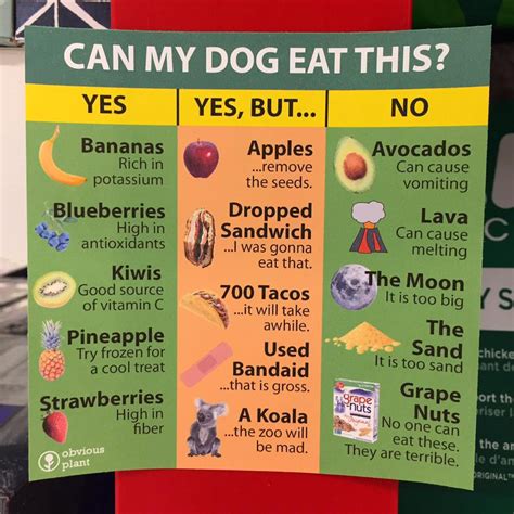 Dogs cannot eat fruit seeds and cores. Can My Dog Eat This? : funny