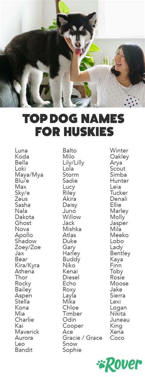 Top 178 Most Popular Husky Names Pet Names For Dogs Cute Dog Names