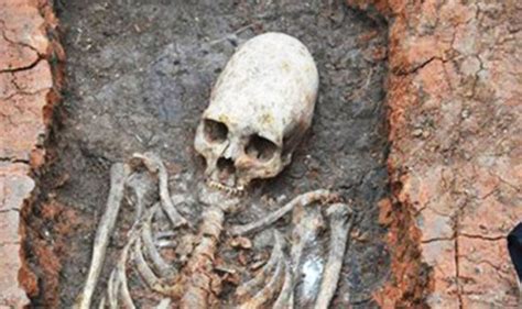 alien skeleton  unearthed  russias stonehenge science news expresscouk