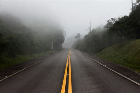 Free Stock Photo Of Forest Highway Road