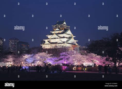 Cherry Blossoms At Night At Osaka Castle Stock Photo Alamy