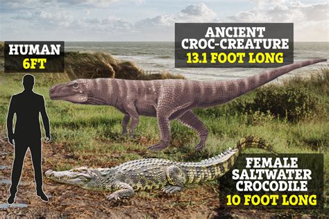 Giant Ancient Crocodiles That Walked On Two Legs And Would Tower Over