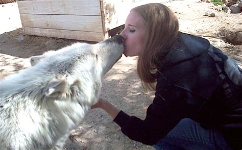 Wolf Kiss By Moonwolf87 On Deviantart