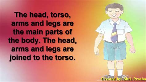 Learn tamilhuman body parts in tamil add missing human body parts. Human Body | Body Parts | - YouTube