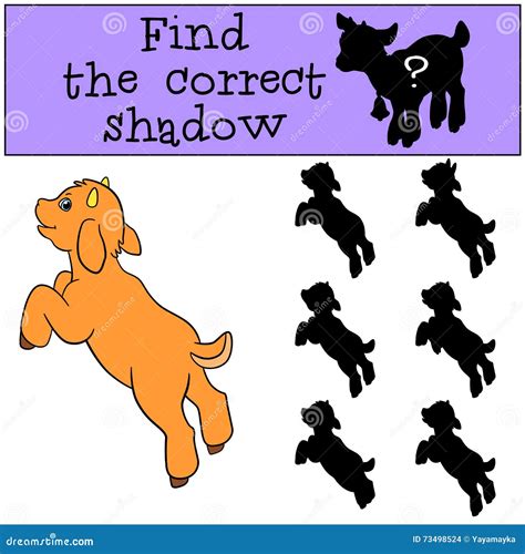 Children Games Find The Correct Shadow Cute Little Baby Goat Stock