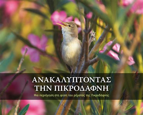 Athens Nature Journal Book Discovering Pikrodaphne