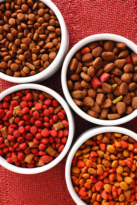 Houstons Premier Pet Food Service Offers Advice On Natural Pet Food