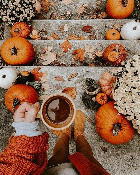 As i processed my the photos i realized that i usually make the same tweaks to a lot of them. 10 Lightroom Mobile Preset Autumn Preset Fall Preset ...