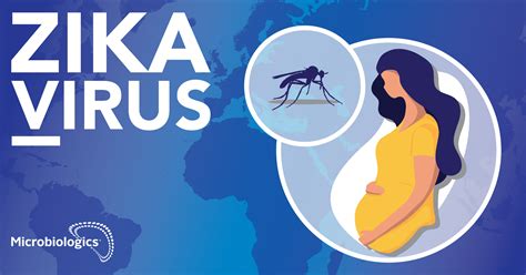 Zika Virus 2021 Zika Virus Symptoms Prevention History And Treatment Check All Details This