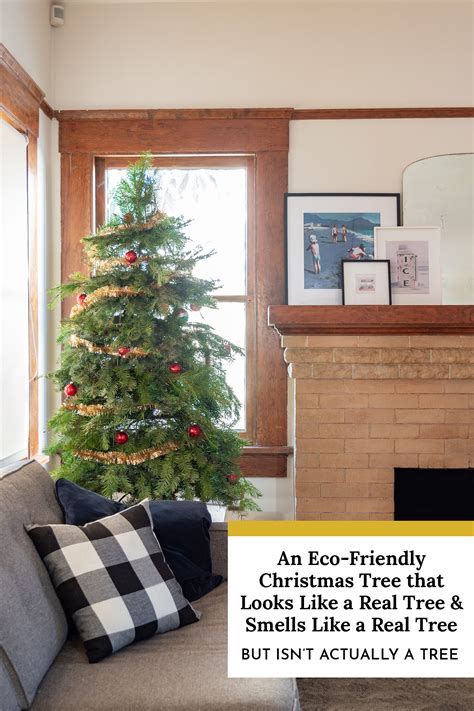 Eco-Friendly Christmas Trees: Sustainable Options For The Holidays