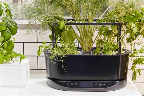 The 11 Best Indoor Garden Systems Of 2023