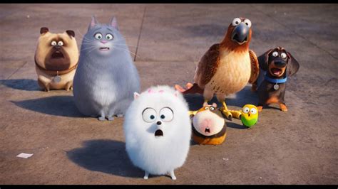 Tajn Ivot Mazn Ikov The Secret Life Of Pets Ofici Lny Trailer Youtube