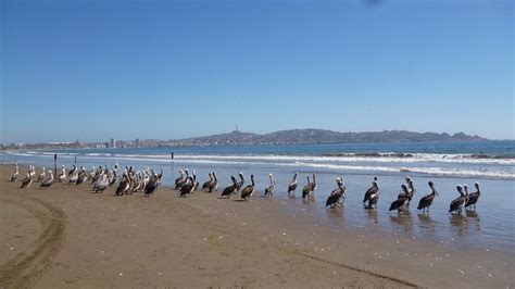 La Serena, Chile | Gallery | Calazan.com