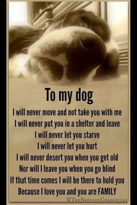 190 Best Dog Passed Away Ideas Pet Loss Grief Dog Quotes Pet
