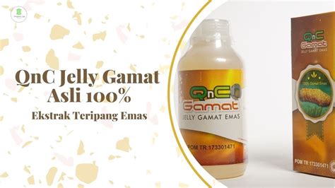 Qnc Jelly Gamat Asli 100 Ekstrak Teripang Emas Solusi Alternatif