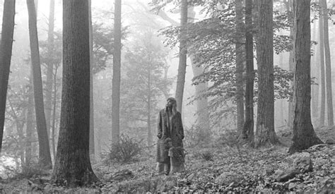 Visuals that popped into my mind and piqued my folklore is a long album—16 songs in just over an hour—but it is also deeply focused. Taylor Swift Folklore reviews: Critics say it's her best album yet - GoldDerby