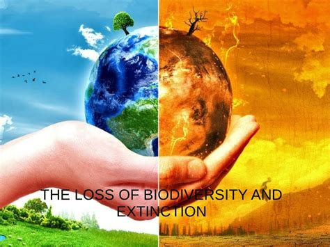 Extinction And Loss Of Biodiversity