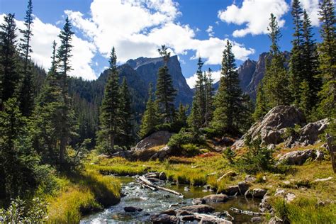 Fotos Gratis árbol Bosque Desierto Para Caminar Montaña Sendero