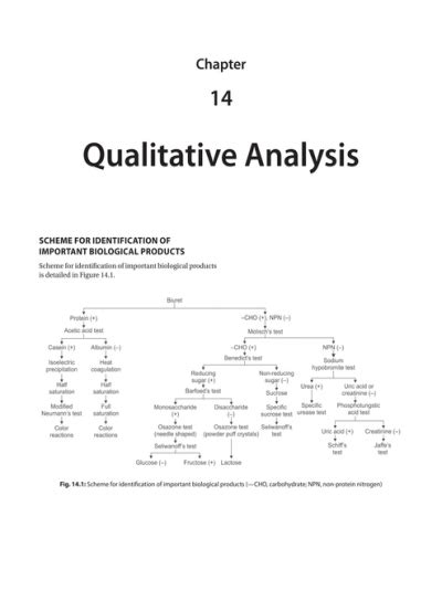 Chapter14qualitative Anal