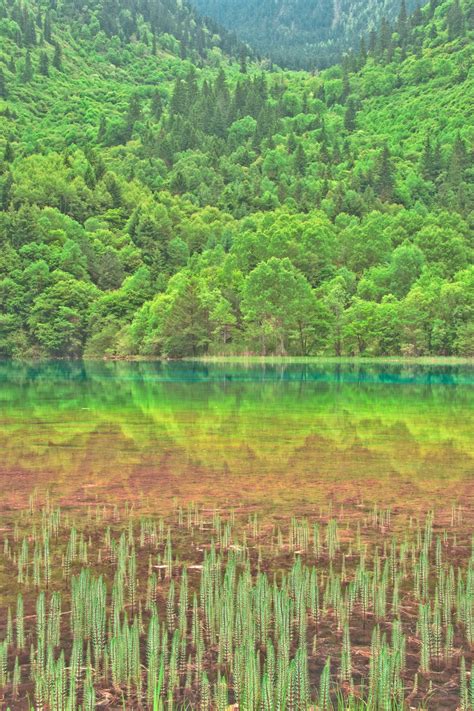 Five Color Lake Jiuzhaigou China Rainbow Lake Lake Natural Landmarks