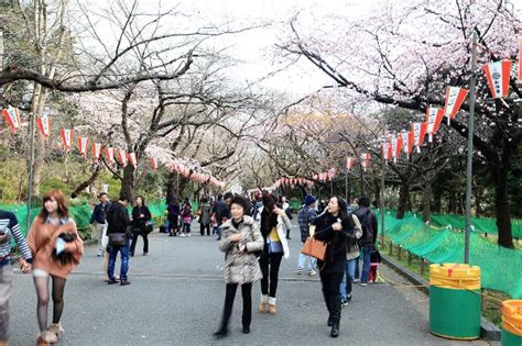 Ueno Park Uenokoen 2020 All You Need To Know Before You Go With