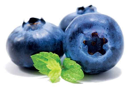 blueberry supplier sayur  buah surabaya
