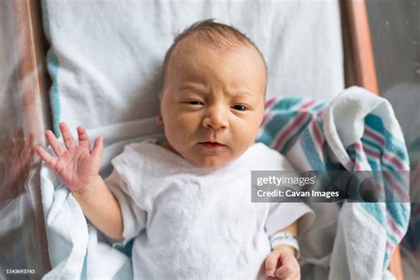 Overhead Newborn Baby Boy In Hospital Bassinet Making Eye Contact High