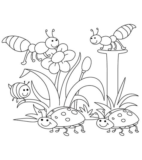 top   printable spring coloring pages