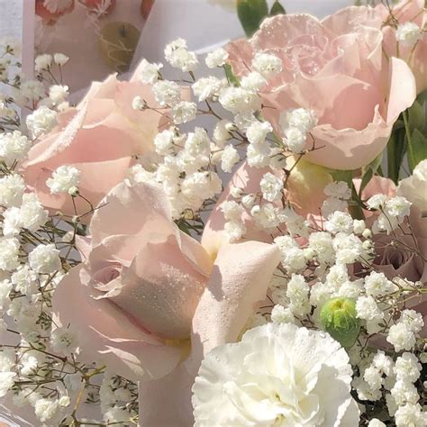 White Pink Flowers Aesthetic References Mdqahtani