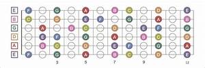 The Guitar Fretboard Explained Line Guitar Lessons Guitar Fretboard
