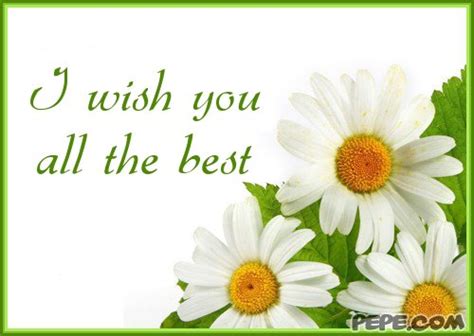 We have prepared for you quotes and sayings for happy bday brother for special lady in the world mother. Wish You All The Best Quotes. QuotesGram