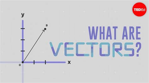 What Is A Vector David Huynh Youtube