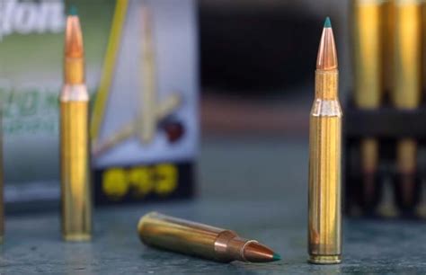 Remington Launches Core Lokt Tipped Bullets As Hunting Season