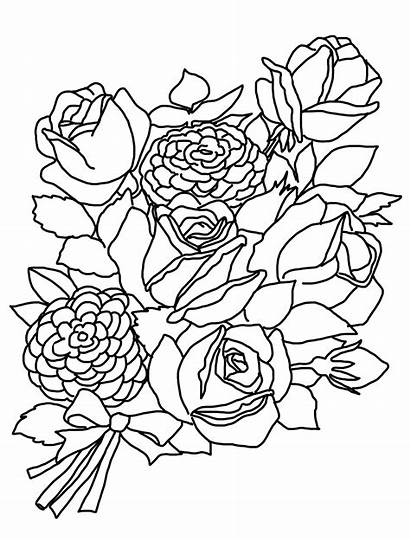 Coloring Flower Pages Roses Flowers Rose Bouquet