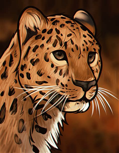 How To Draw A Leopard Head Step By Step Drawing Guide By Dawn