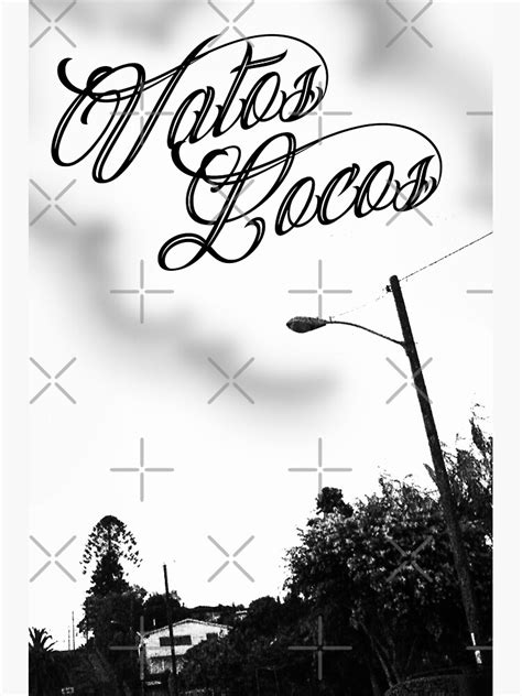 Vatos Locos Forever Sticker By Srphotola Redbubble