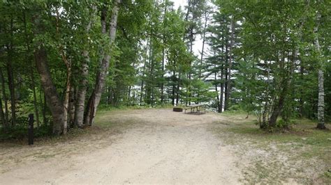 Perch Lake State Forest Campground Reviews Updated 2019
