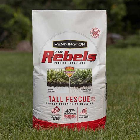Pennington The Rebels Tall Fescue Grass Seed Blend