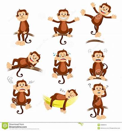 Ausdruck Affe Monkey Expression Different Verschillende Aap