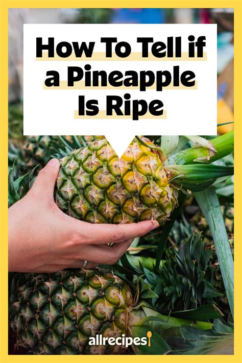 Someone Holding A Pineapple In Their Hand With The Words How To Tell If