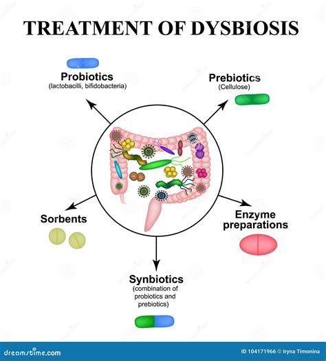 Treatment Of Dysbacteriosis In The Intestines Colon Bacteria
