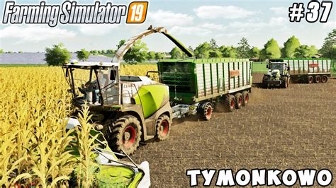 Harvesting Corn Silage Tymonkowo Farm Farming Simulator 19