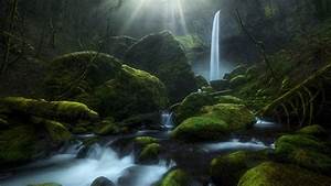 Stream, Waterfall, Greenery, Moss, Oregon, Hd, Nature, Wallpapers