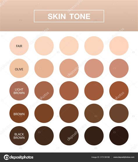 Skin Tone Infographic Color Table Chart Beauty Human Index Vector Stock