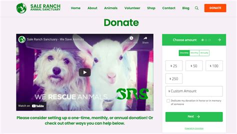 Top 17 Best Animal Charities You Can Donate To In 2022