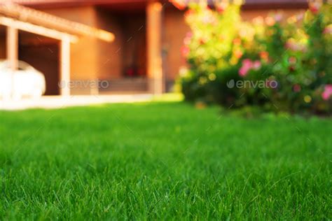 Mowed Green Frontyard Grass Before Residential Suburban House Summer