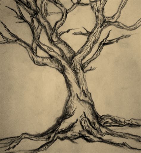 √ Pencil Drawing Tree