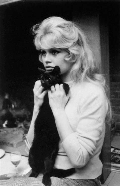 Halloween Special Famous Black Cats And Their Owners Brigitte Bardot