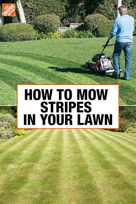 A Beautiful Striped Lawn Begins With The Right Kind Of Grass And